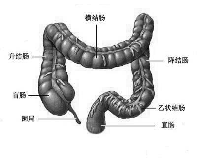 【科普】慢性肠炎症状